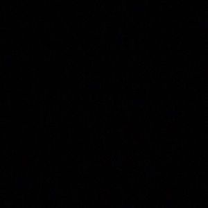 Meet your Posher, Charneese